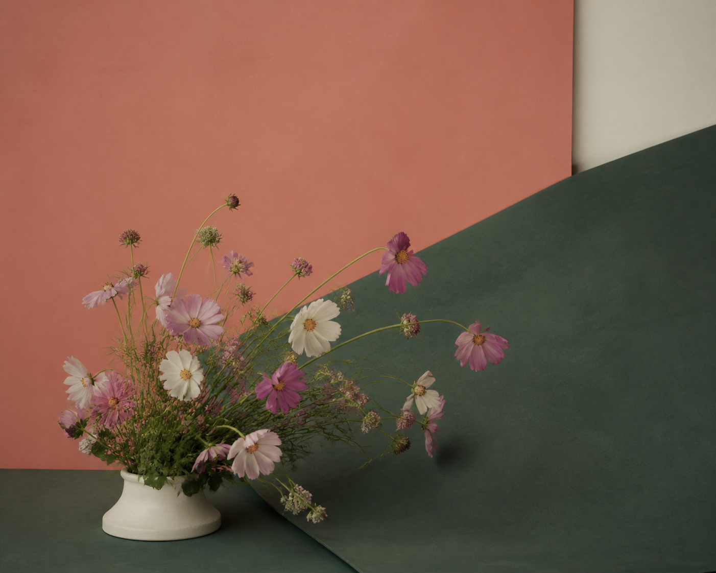 Peiyuan Liao flower photograph of a cosmos bouquet continuing into a folded green plane